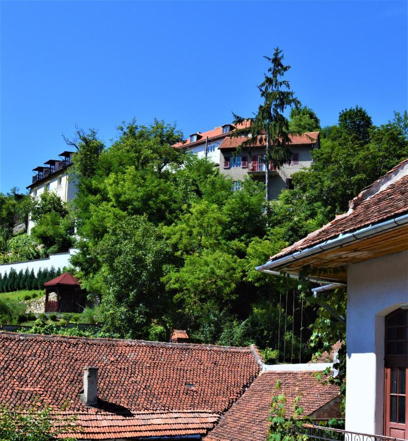 Eco Studio Braşov Extérieur photo